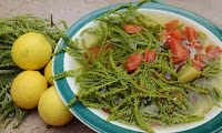 Народы Мексики: уичоли Индейская пища