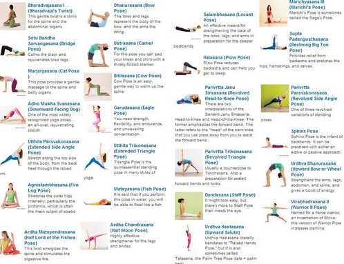 Basics of Yoga Benefits