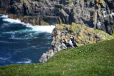 Shetland