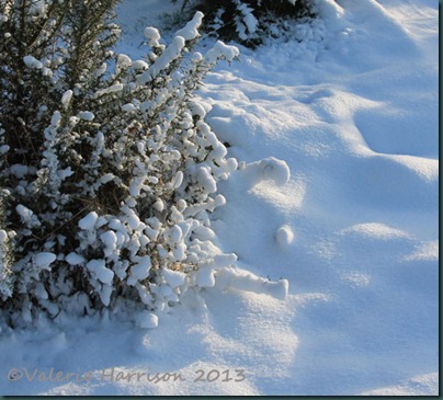 6-snow