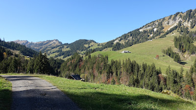 Am Glaubenbergpass, ca. 1100 m