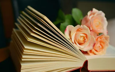 خلفيات شاشه سطح المكتب روعه ، افضل صور خلفيات hd 16