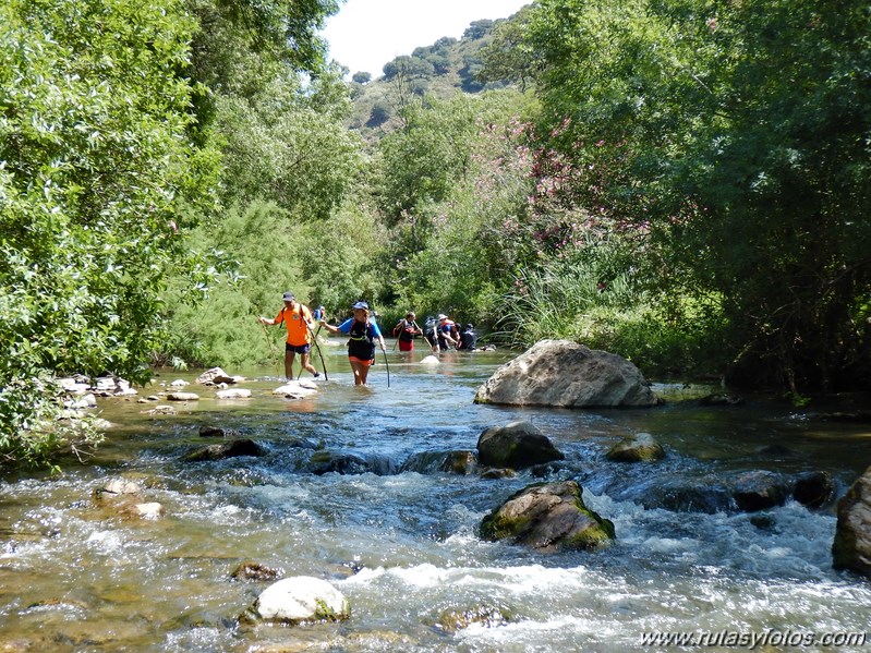 Acuática Benaoján - Jimera de Líbar por el río Guadiaro