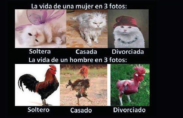 IMAGENES GRACIOSAS: DIFERENCIAS DE MUJER Y HOMBRE