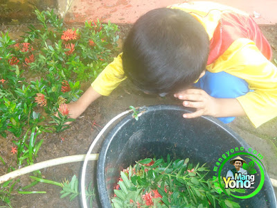 Mengajarkan Anak Menanam Bunga Sejak Dini