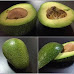 Here Is Why You Need To Eat an Avocado Every Single Day 