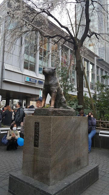 hachiko dog shibuya