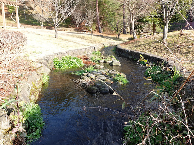 ロイヤルシティ大山の別荘地　大成池