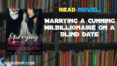 Marrying a Cunning Mr.Billionaire on a Blind Date Novel