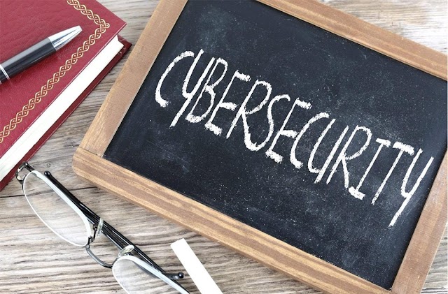 Safety in Cyberspace: Strategies to Defend Your Organization from Cyber Risks