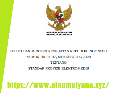 KMK atau Kepmenkes Nomor HK.01.07-MENKES-314-2020 Tentang Standar Profesi Elektromedis