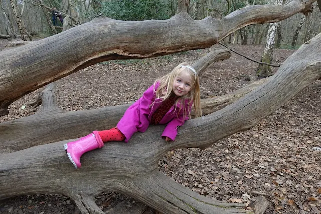 A girl in pink climbing over a fallen over tree