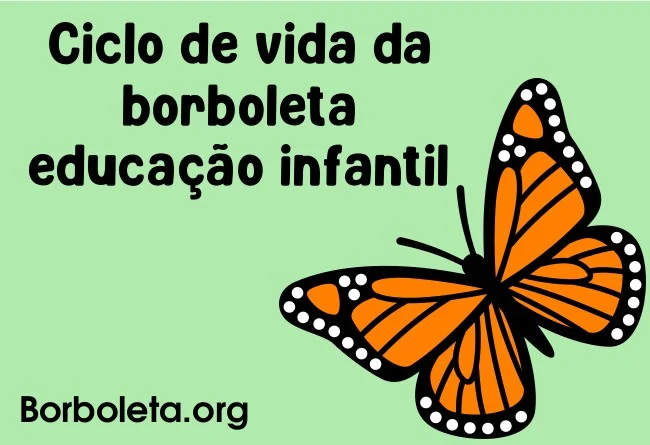 Ciclo de vida da borboleta educação infantil