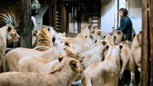Roar – Die Löwen sind los 1981 gratis