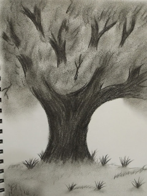 ARBOL, CARBONCILLO, CANSON, DERWENT,DIBUJO