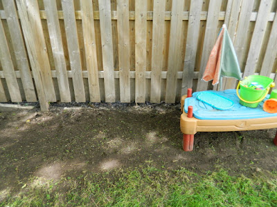 Beach Hill Toronto backyard cleanup after by Paul Jung Gardening Services