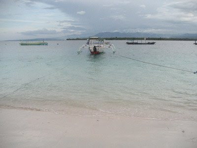 Gili Meno on Maritime  Marine And Fisheries  The Friendly Sunset Gecko At Gili Meno