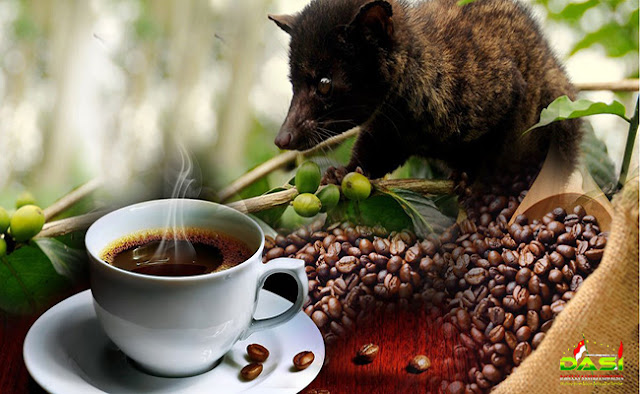 Tentang Hukumnya Mengonsumsi Kopi Luwak