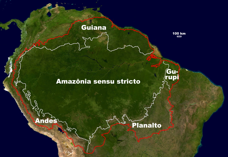 Na porção norte da América do Sul, a Amazônia sensu latíssimo (limite em linha vermelha), compreende a sub-região Amazônia sensu stricto (limite em linha branca) e quatro sub-regiões periféricas: Andes, Planalto, Guiana e Gurupi (Fonte: JRC2005)(Fonte para o norte da América do Sul, como fundo deste e dos próximos mapas: pxhere)