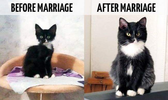 WORDLESS WEDNESDAY : BEFORE & AFTER MARRIAGE 
