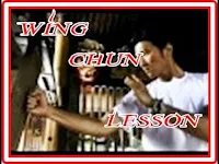 video-wing-chun-lessons