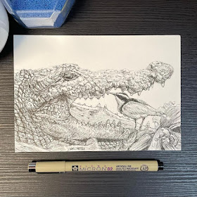 01-Crocodile-at-the-dentist-Animal-Drawings-Well-Freire-www-designstack-co
