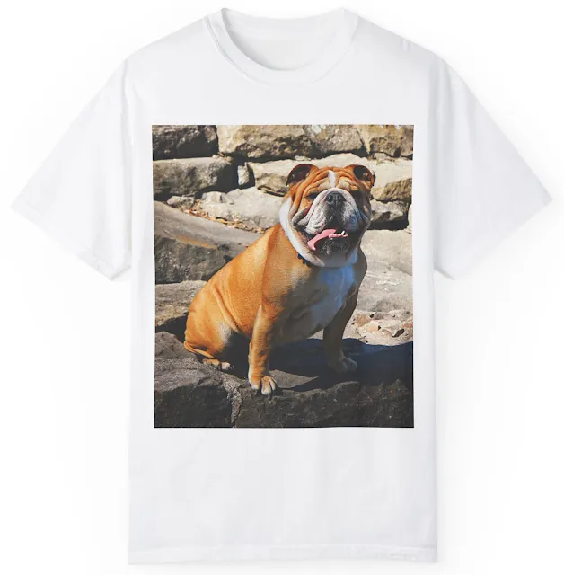 Unisex Garment Dyed Comfort Colors T-Shirt With Golden Brown Bulldog Sloppy Sitting on Mountain Rocks