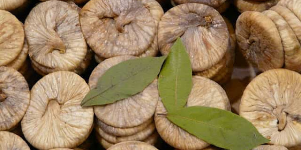 Figs Rescue From Obesity - Health-Teachers