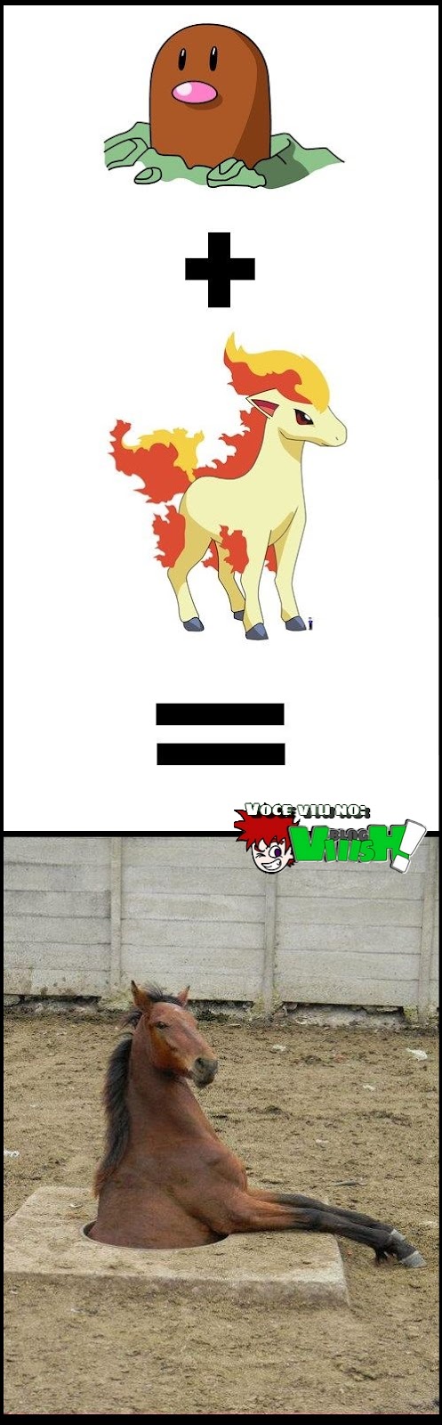 Digglet + Ponyta igual a cavalo com metade do corpo embaixo da terra