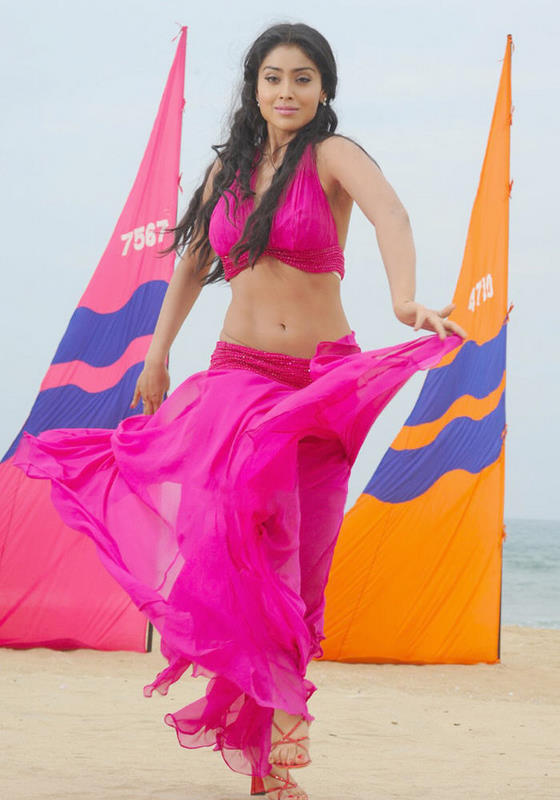 Shriya in Pink Gown, Latest Pictures of Shriya Online