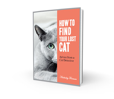 How to find a missing cat