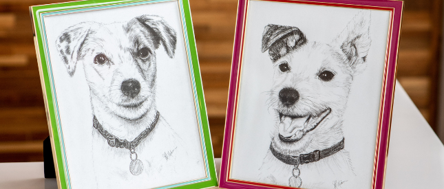 Framed photos of Marley and Lilly dogs