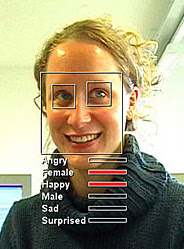 Facial analysis software
