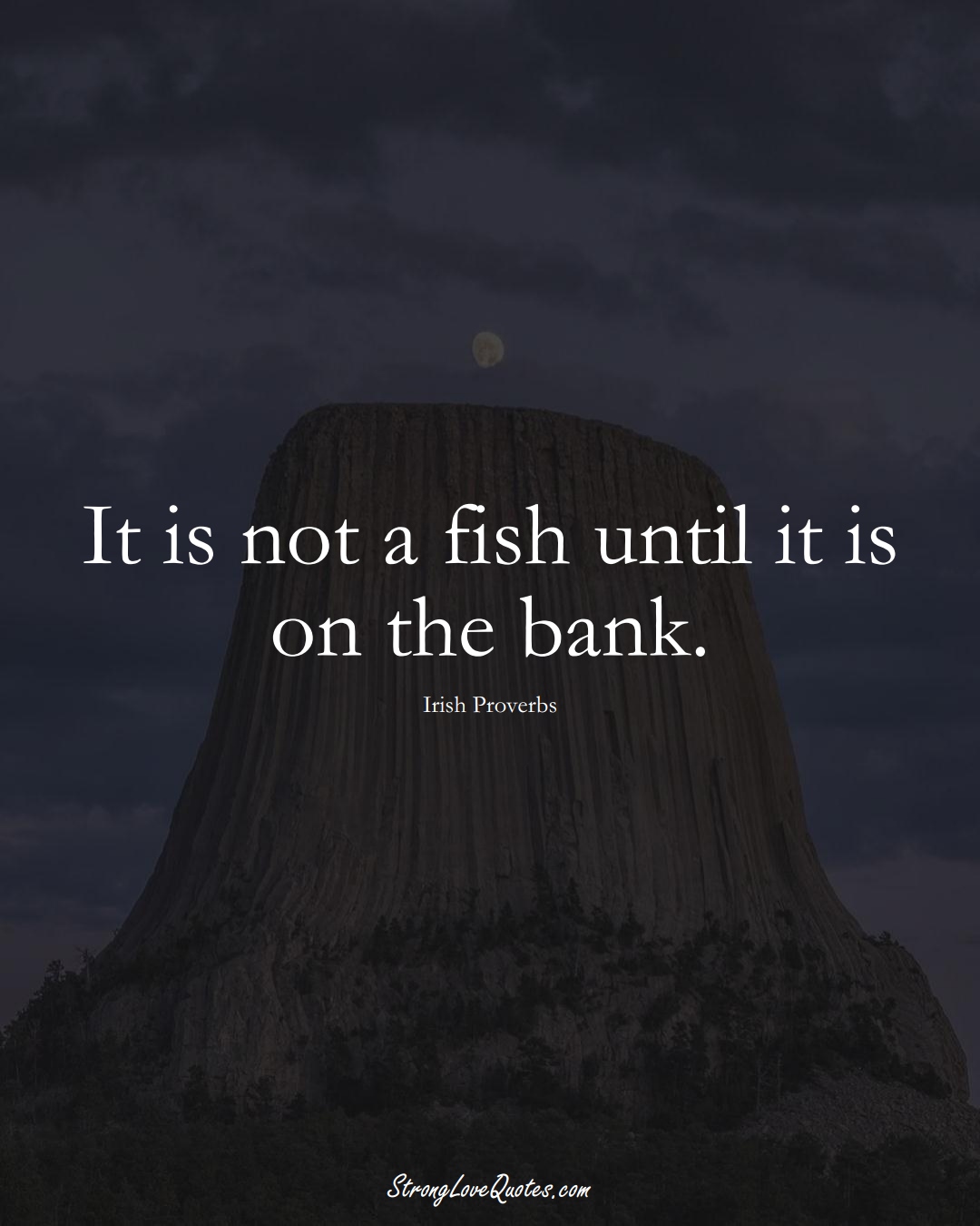 It is not a fish until it is on the bank. (Irish Sayings);  #EuropeanSayings
