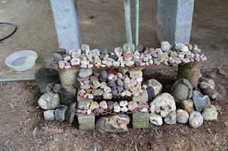 outdoor rock collection display