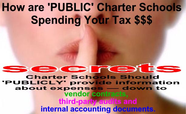 Image result for big education ape charter school secrets