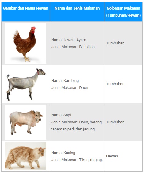  Materi dan Kunci Jawaban Tematik Kelas  Materi dan Kunci Jawaban Tematik Kelas 5 Tema 5 Subtema 1 Halaman 2, 4, 6, 7