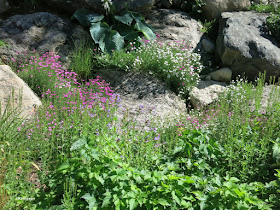 The Painter's Garden, Yampa River Botanic Park