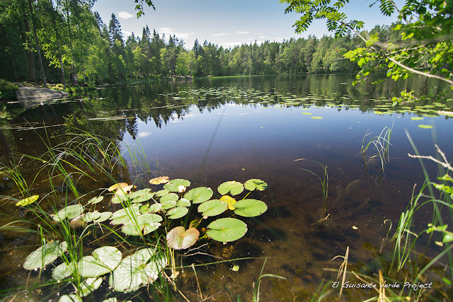 Rundvannet,  Østmarka - Oslo por El Guisante Verde Project