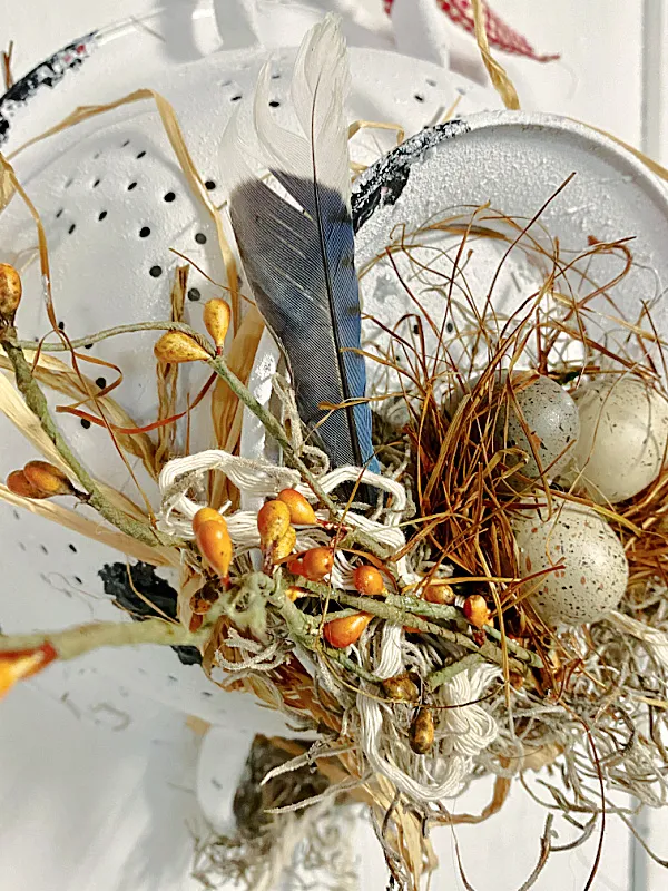 nest findings and feathers