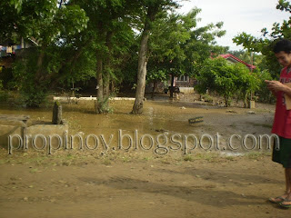 Typhoon Fank photos in Iloilo