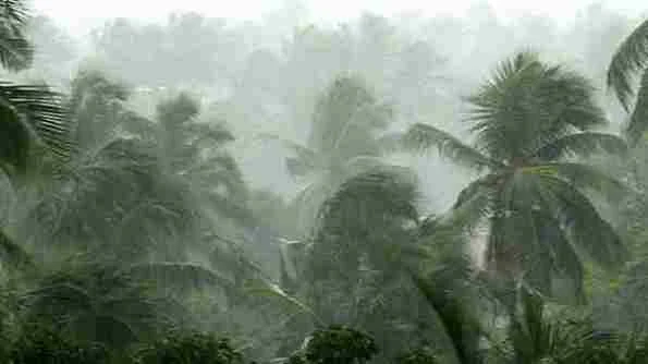 Thiruvananthapuram, News, Kerala, Rain, Alerts, Yellow alert, Rain alerts withdrawn in Kerala.