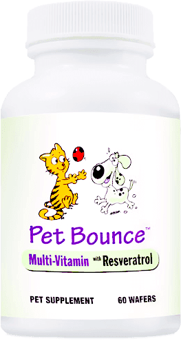 Best Pet Supplement With Multi-Vitamin For Dog OR Cat