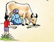 ધોરણ : ૧  કલરવ  પાઠ  : ૧ શાળા તત્પરતા : ૧