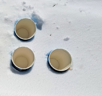 Three empty paper cups sitting in a fresh pile of snow waiting for the jello liquid to be poured into them.