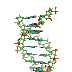 Genes sintéticos, el próximo avance después de la creación de un nuevo cromosoma