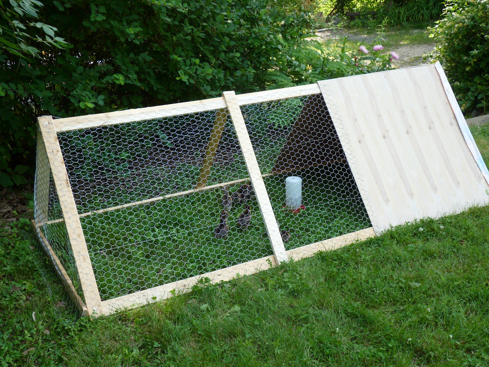 Portable Chicken Co-op Tractor