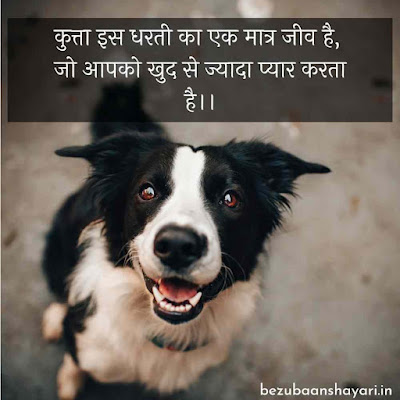 Dog status in hindi