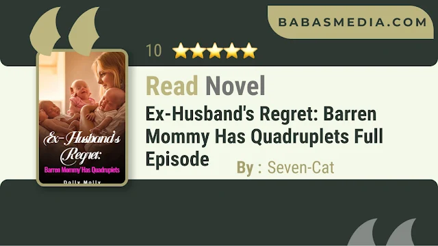 Cover Ex-Husband's Regret: Barren Mommy Has Quadruplets Novel By Seven-Cat