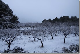 NIEVE 10[4]